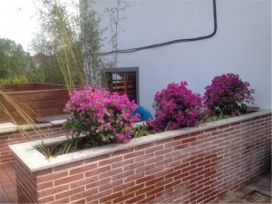 旺山精品酒店，美式屋頂花園效果圖